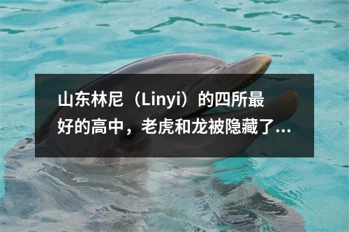 山东林尼(Linyi)的四所最好的高中,老虎和龙被隐藏了,黄金名单的标题确实很棒