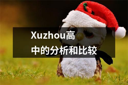 Xuzhou高中的分析和比较