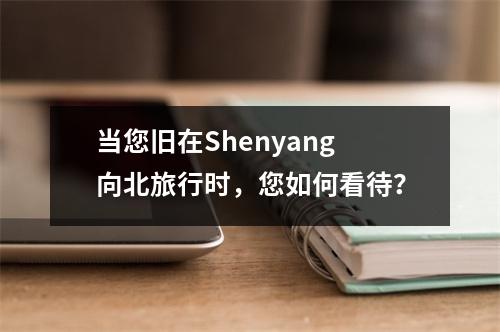 当您旧在Shenyang向北旅行时,您如何看待?