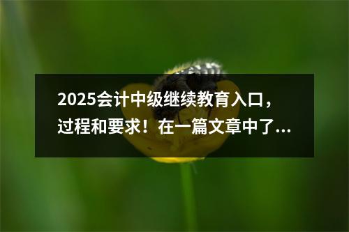 2025会计中级继续教育入口,过程和要求!在一篇文章中了解它