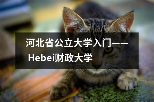 河北省公立大学入门—— Hebei财政大学