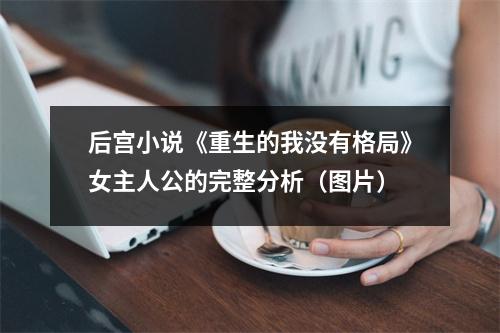 后宫小说《重生的我没有格局》女主人公的完整分析(图片)