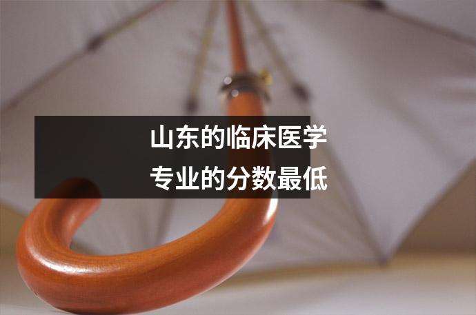 山东的临床医学专业的分数最低