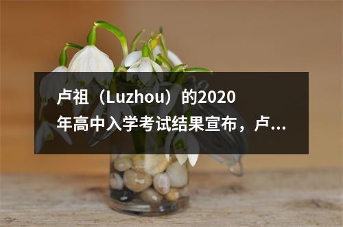 卢祖(Luzhou)的2020年高中入学考试结果宣布,卢县卢安吉(Liangcai)学校的黄Xinyu得分735分