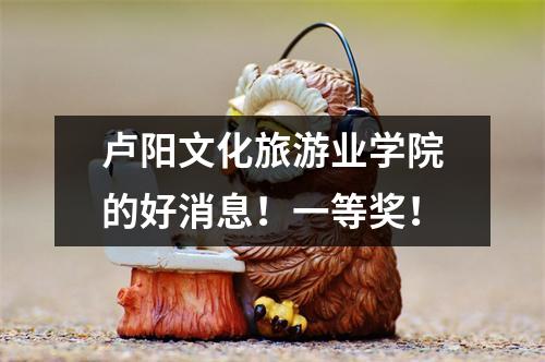 卢阳文化旅游业学院的好消息!一等奖!