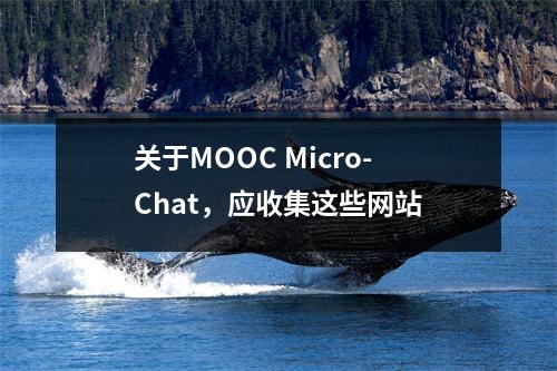 关于MOOC Micro-Chat,应收集这些网站