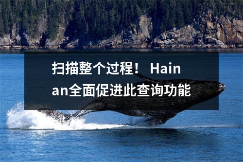 扫描整个过程! Hainan全面促进此查询功能