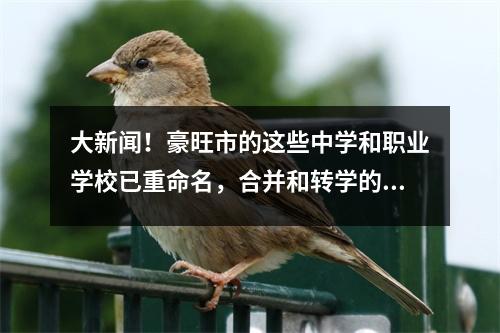 大新闻!豪旺市的这些中学和职业学校已重命名,合并和转学的教师和学生.
