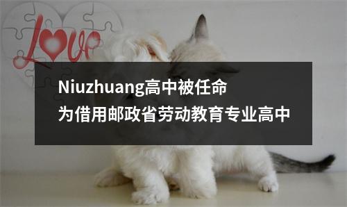 Niuzhuang高中被任命为借用邮政省劳动教育专业高中