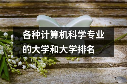 各种计算机科学专业的大学和大学排名