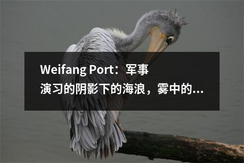 Weifang Port:军事演习的阴影下的海浪,雾中的未来,警钟悄悄地升起