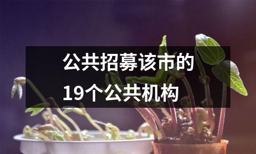 公共招募该市的19个公共机构