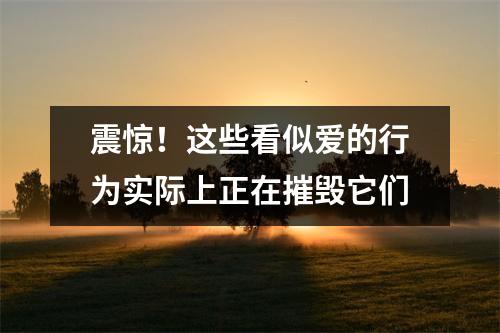 震惊!这些看似爱的行为实际上正在摧毁它们