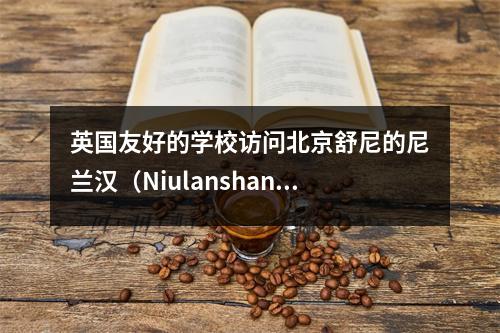 英国友好的学校访问北京舒尼的尼兰汉(Niulanshan)