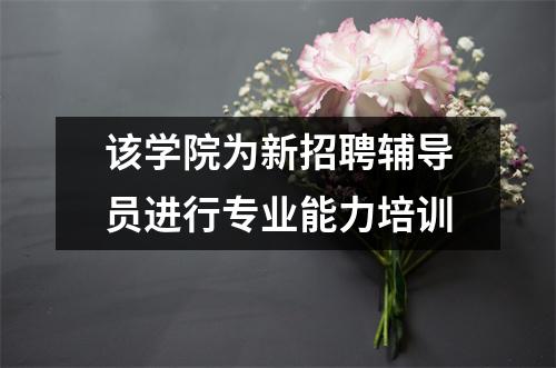 该学院为新招聘辅导员进行专业能力培训
