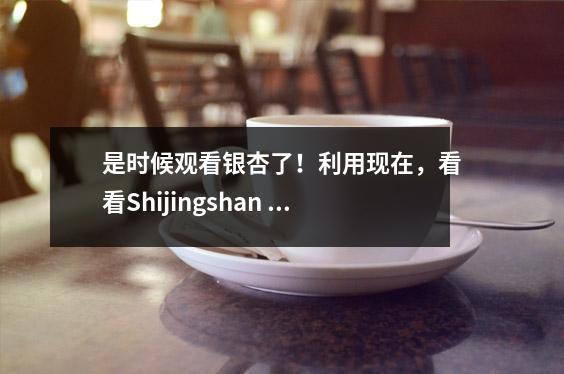 是时候观看银杏了!利用现在,看看Shijingshan ——的秋天