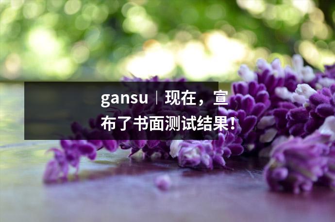 gansu︱现在,宣布了书面测试结果!