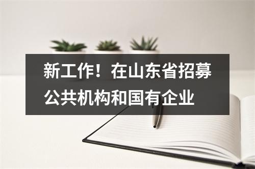 新工作!在山东省招募公共机构和国有企业
