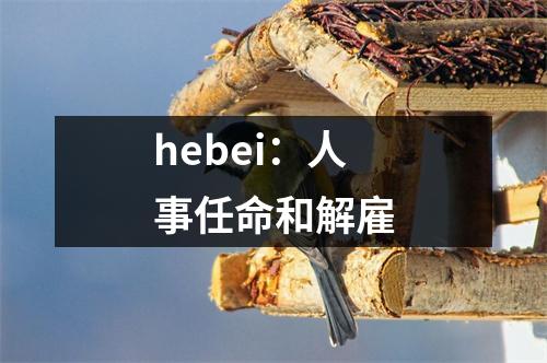hebei:人事任命和解雇