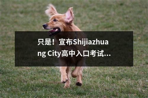 只是!宣布Shijiazhuang City高中入口考试控制分数线