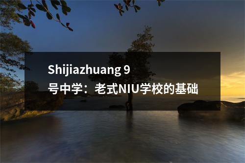 Shijiazhuang 9号中学:老式NIU学校的基础