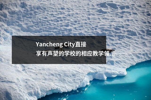 Yancheng City直接享有声望的学校的相应教学领域列表