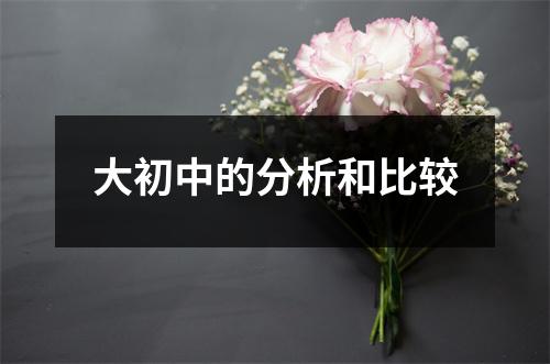 大初中的分析和比较