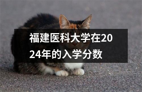 福建医科大学在2024年的入学分数