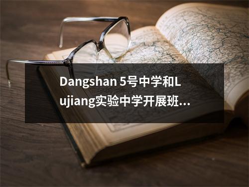 Dangshan 5号中学和Lujiang实验中学开展班级教学管理交流活动