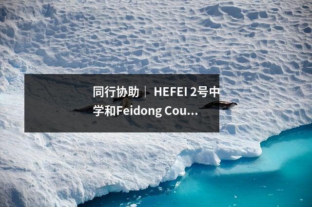 同行协助｜ HEFEI 2号中学和Feidong County中学探索了体育教育的新途径