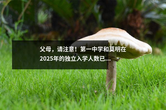 父母,请注意!第一中学和莫明在2025年的独立入学人数已经开始!