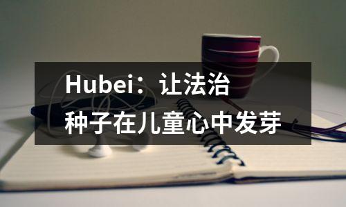 Hubei:让法治种子在儿童心中发芽