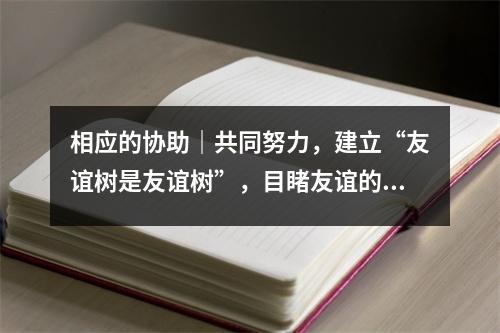 相应的协助｜共同努力，建立“友谊树是友谊树”，目睹友谊的友谊