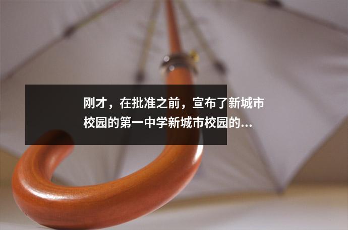 刚才,在批准之前,宣布了新城市校园的第一中学新城市校园的可行性报告!