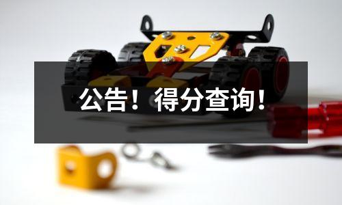 公告!得分查询!