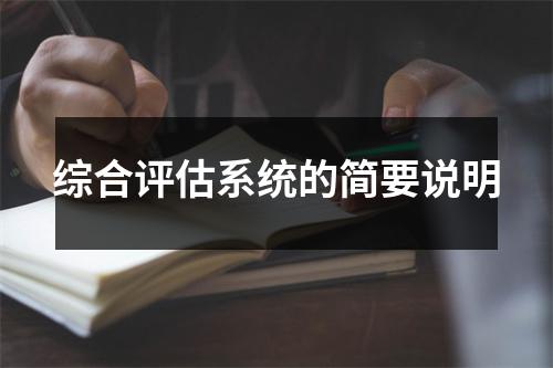 综合评估系统的简要说明
