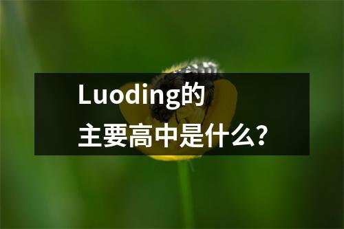 Luoding的主要高中是什么？