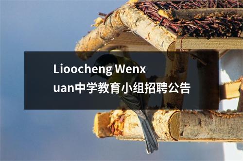Lioocheng Wenxuan中学教育小组招聘公告