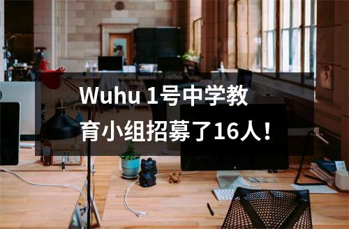 Wuhu 1号中学教育小组招募了16人！