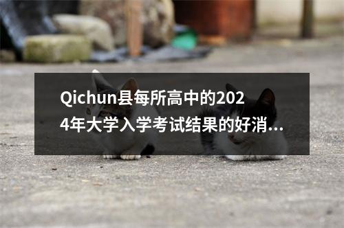 Qichun县每所高中的2024年大学入学考试结果的好消息