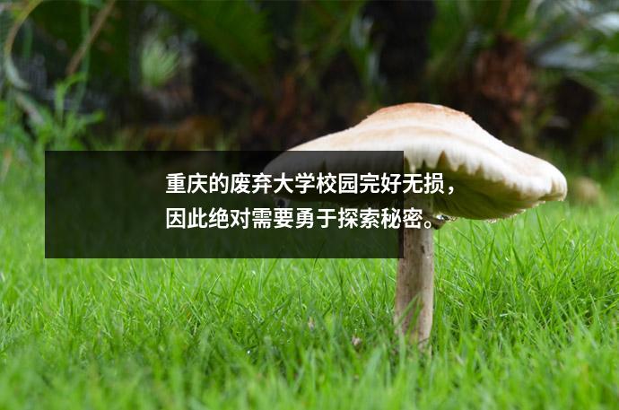 重庆的废弃大学校园完好无损，因此绝对需要勇于探索秘密。