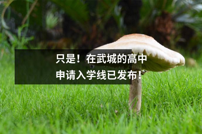 只是！在武城的高中申请入学线已发布！