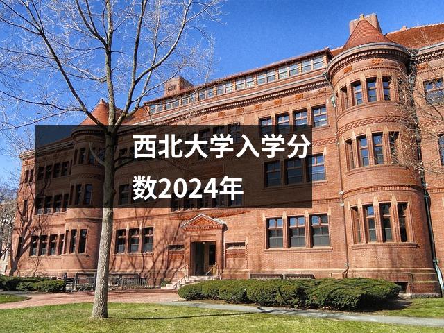西北大学入学分数2024年