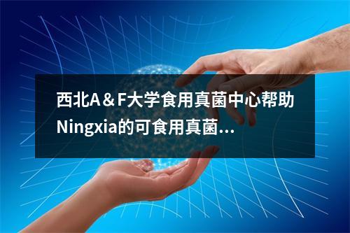 西北A&F大学食用真菌中心帮助Ningxia的可食用真菌行业发展高水平