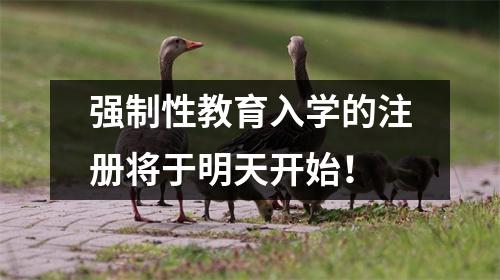 强制性教育入学的注册将于明天开始！
