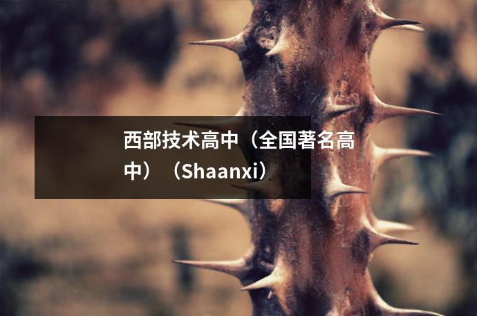 西部技术高中(全国著名高中)(Shaanxi)