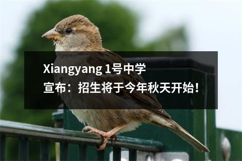 Xiangyang 1号中学宣布:招生将于今年秋天开始!