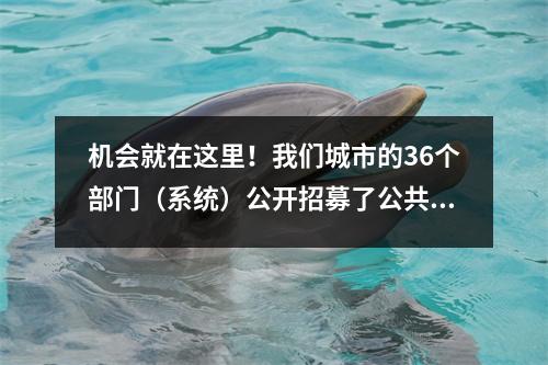 机会就在这里!我们城市的36个部门(系统)公开招募了公共机构的144名员工