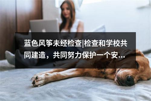 蓝色风筝未经检查|检查和学校共同建造，共同努力保护一个安全的校园