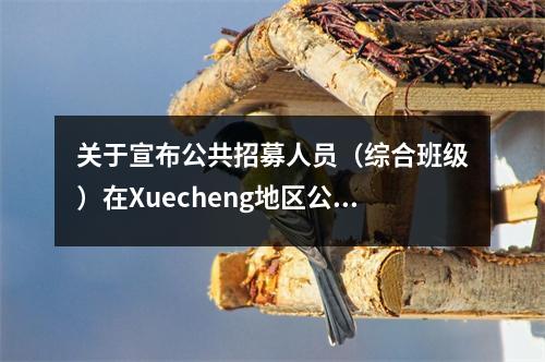 关于宣布公共招募人员(综合班级)在Xuecheng地区公共机构公共招聘人员(综合班级)及相关事项的通知